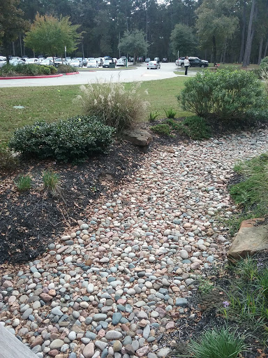 Book Store «Lone Star College Kingwood Bookstore», reviews and photos, 20000 Kingwood Dr, Kingwood, TX 77339, USA