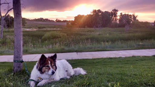 Park «Red-tailed Hawk Park», reviews and photos, 23701 E Hinsdale Way, Aurora, CO 80016, USA