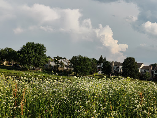Park «Springfield Park», reviews and photos, 269 Springfield Dr, Bloomingdale, IL 60108, USA