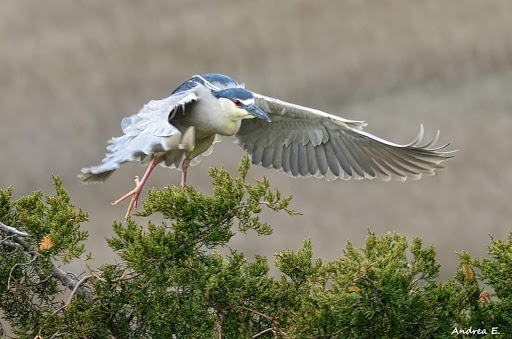  «Ocean City Welcome Center», reviews and photos, 300 W 9th St, Ocean City, NJ 08226, USA
