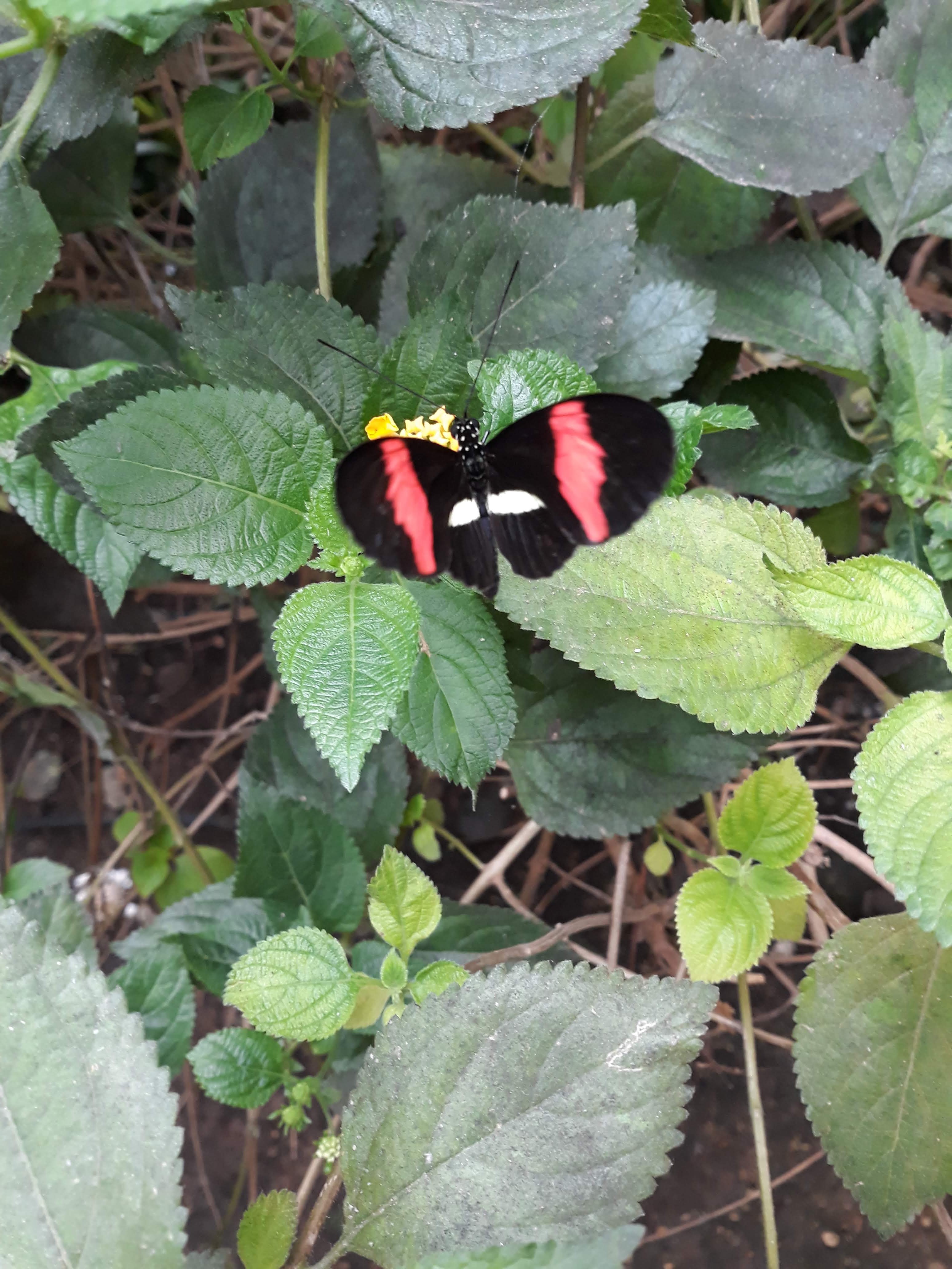 Photo n° 5 de l'avis de Ludo.a fait le 20/08/2021 à 15:15