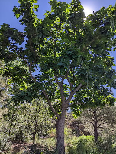 Park «Commons Park», reviews and photos, 2101 15th St, Denver, CO 80202, USA