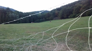 Photo n°6 de Stoll Jean-Marc à Kaysersberg ()