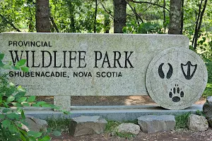 Shubenacadie Provincial Wildlife Park image