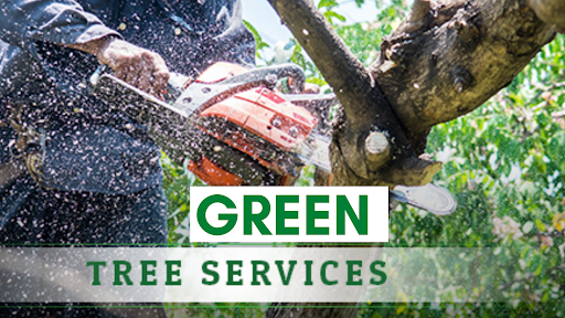 Green Tree Service of Wichita Falls