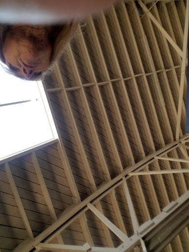 Pet Supply Store «San Mateo Pet Supply», reviews and photos, 346 El Camino Real, Redwood City, CA 94062, USA