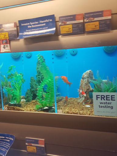 Pet Supply Store «PetSmart», reviews and photos, 1110 NY-112, Port Jefferson Station, NY 11776, USA