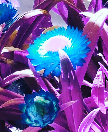 Park «Seahurst Park», reviews and photos, 1600 SW Seahurst Park Rd, Burien, WA 98166, USA