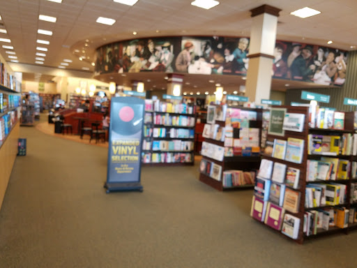 Book Store «Barnes & Noble», reviews and photos, 4801 Concord Pike, Wilmington, DE 19803, USA