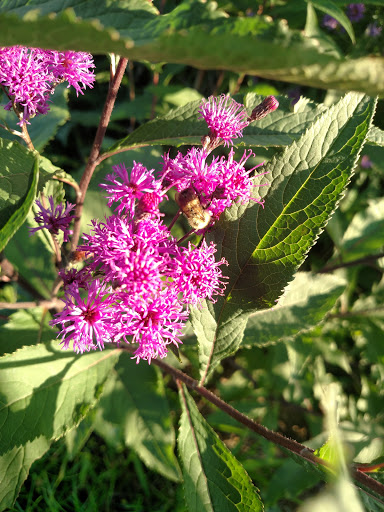 Park «Purgatory Creek Park Pavilion», reviews and photos, 13001 Technology Dr, Eden Prairie, MN 55344, USA