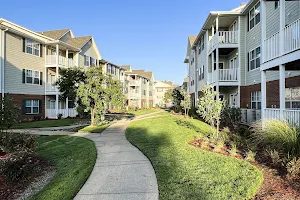 The Madison of Tyler Apartment Homes image