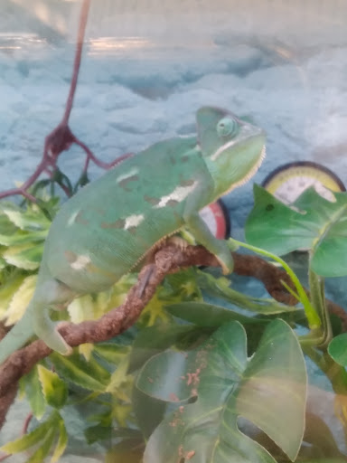 Pet Supply Store «Petco Animal Supplies», reviews and photos, 9078 SE Sunnyside Rd, Clackamas, OR 97015, USA