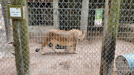 Zoo «Waccatee Zoological Farm», reviews and photos, 8500 Enterprise Rd, Myrtle Beach, SC 29588, USA