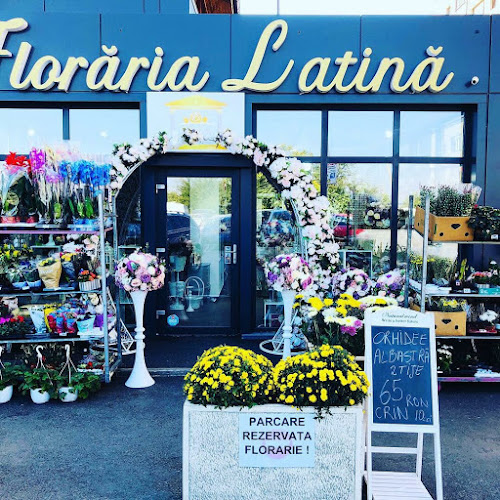 Floraria Latina - Florărie