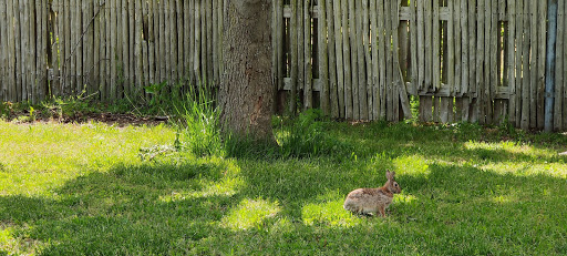 Park «Cedar Creek Park», reviews and photos, 3340 Merrick Rd, Seaford, NY 11783, USA