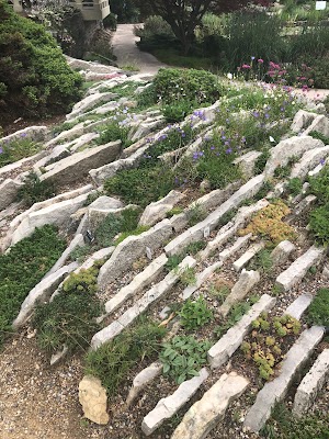 Allen Centennial Garden - photo 15