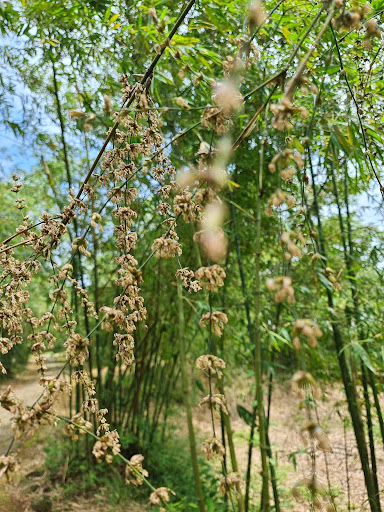 Top 20 cửa hàng 2guys1box Huyện Vĩnh Linh Quảng Trị 2022