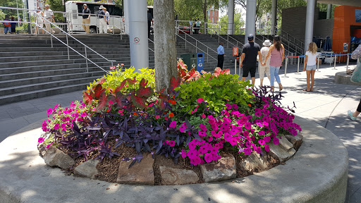 Aquarium «Georgia Aquarium», reviews and photos, 225 Baker St NW, Atlanta, GA 30313, USA