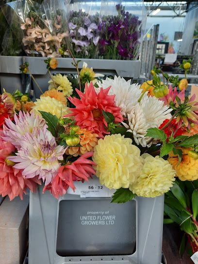 Fresh Cut Flower Wholesalers