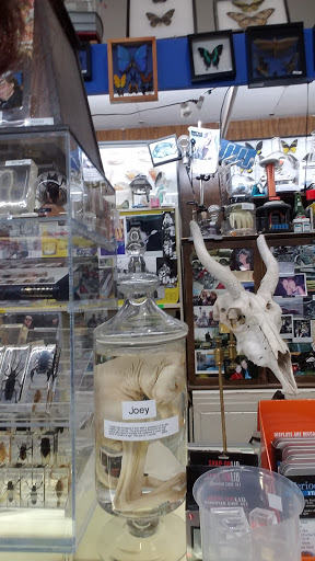 Toy Store «Brookside Toy and Science», reviews and photos, 330 W 63rd St, Kansas City, MO 64113, USA