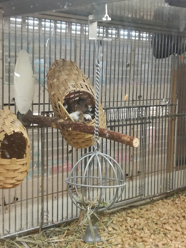 Pet Supply Store «PetSmart», reviews and photos, 2216 E Springs Dr, Madison, WI 53704, USA