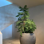 Photo n°4 de l'avis de vittoria.e fait le 25/05/2021 à 13:55 sur le  Forestis Dolomites à Brixen