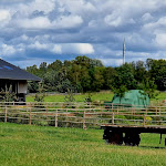 Photo n°5 de l'avis de Bojana.a fait le 15/08/2023 à 16:53 sur le  Zum Dorfkrug Landhof à Neu Wulmstorf