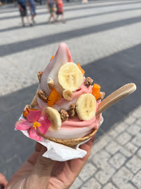 Crème glacée du Restaurant de sundae Vegetal Yogurt à Capbreton - n°4