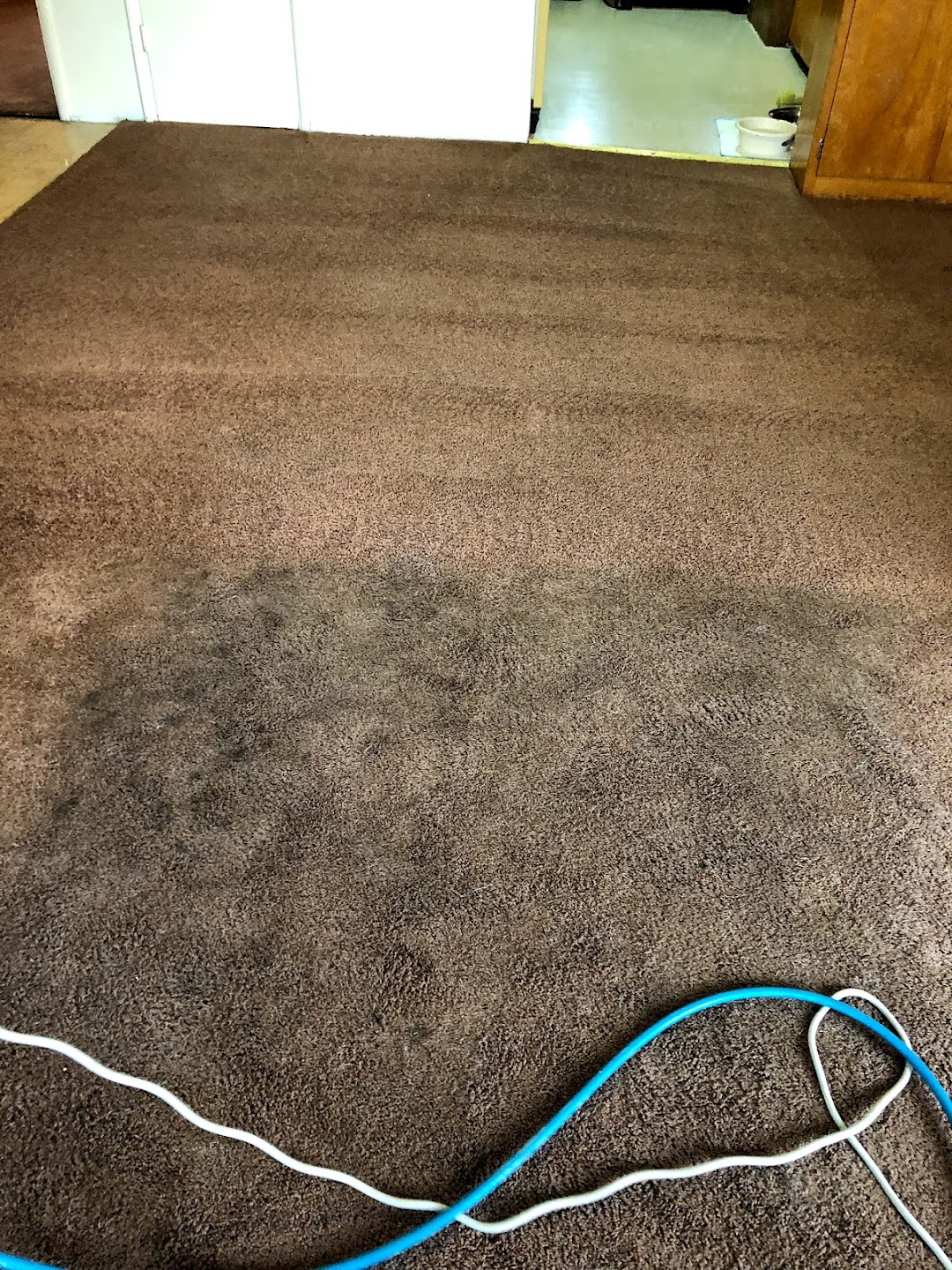 American Veteran Advanced Carpet Cleaning