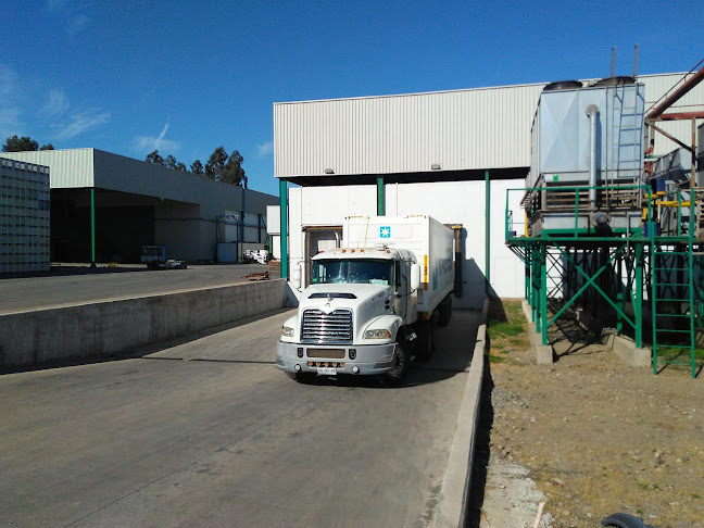 COAGRA San Fernando - Oficina de empresa