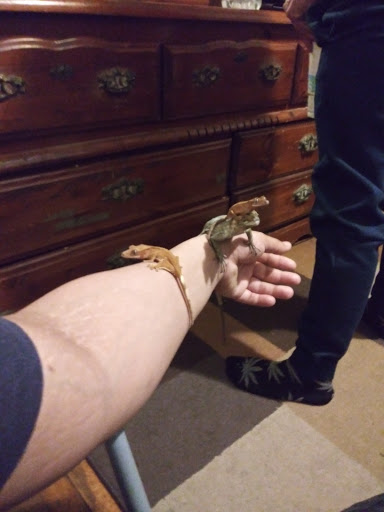 Pet Store «Slither & Swim», reviews and photos, 38 Saw Mill Rd # 16, West Haven, CT 06516, USA