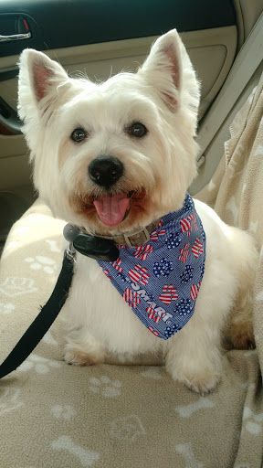 Pet Supply Store «PetSmart», reviews and photos, 450 Fairview Ave, Hudson, NY 12534, USA