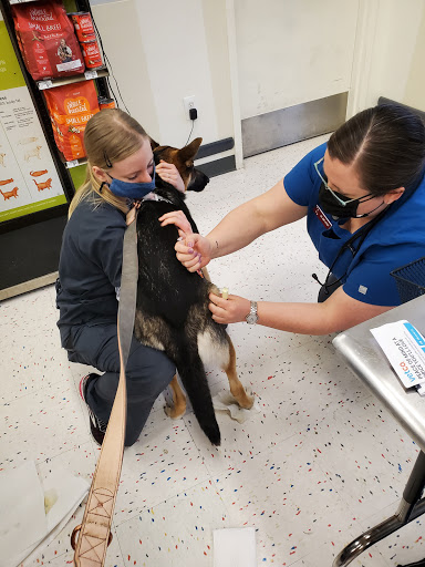 Pet Supply Store «Petco Animal Supplies», reviews and photos, 5190 Borgen Blvd #201, Gig Harbor, WA 98332, USA