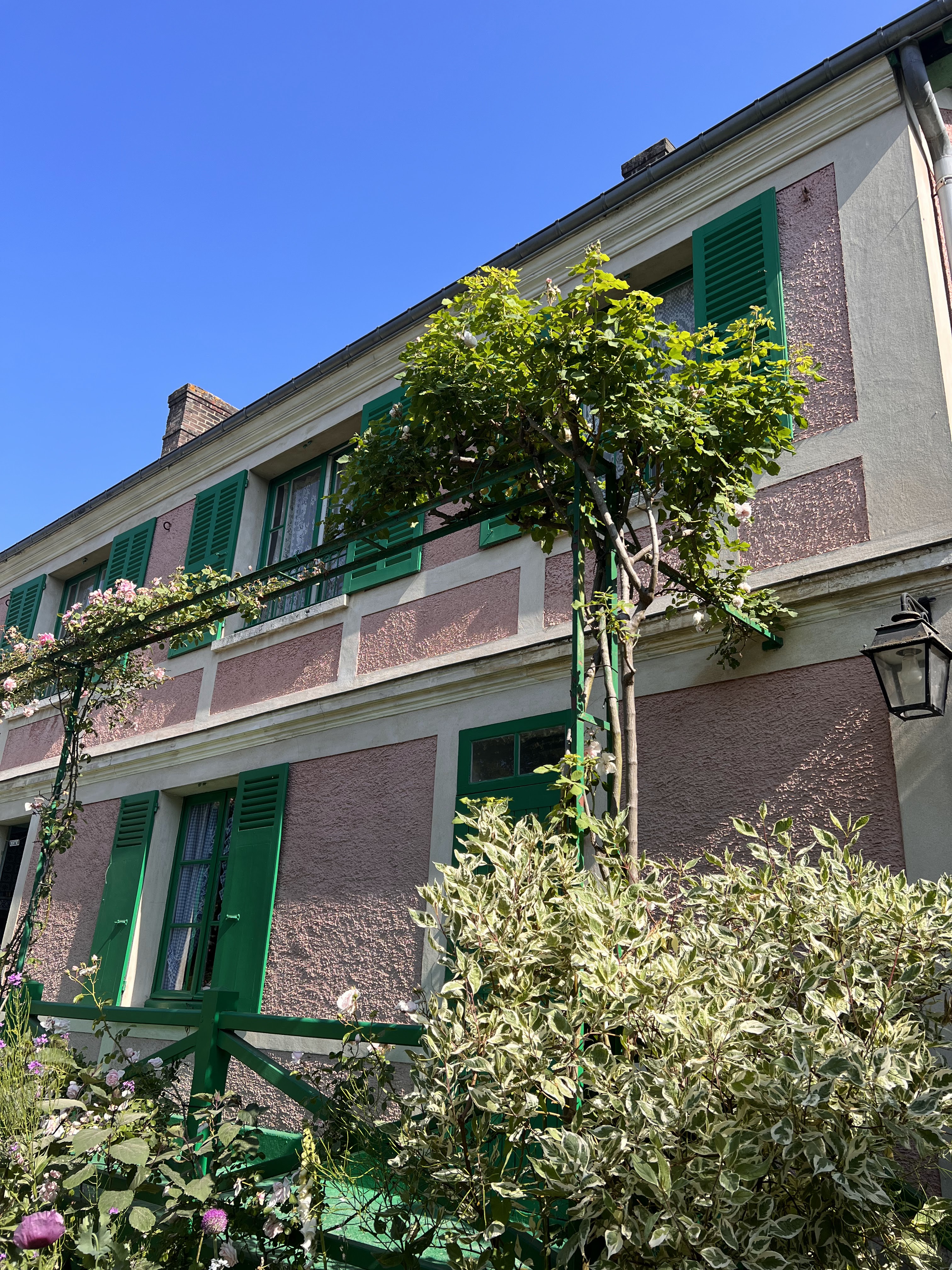 Photo n° 4 de l'avis de Wisha.k fait le 19/08/2023 à 14:30