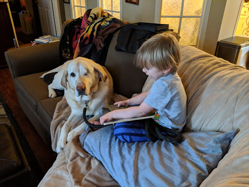 Arbor Veterinary Services, A Thrive Pet Healthcare Partner image