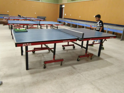 Ping Pong Table Tennis Academy