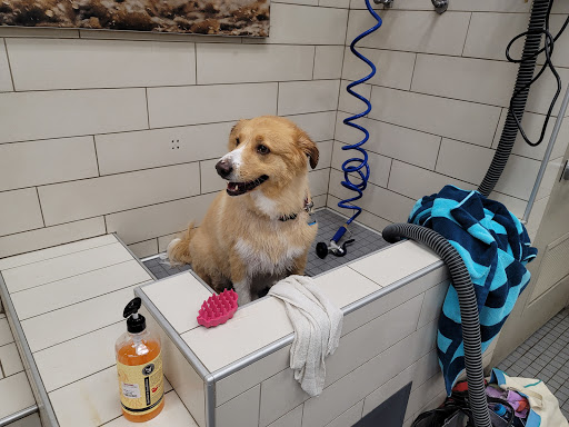 Pet Supply Store «Petco Animal Supplies», reviews and photos, 5850 Sepulveda Blvd, Van Nuys, CA 91411, USA