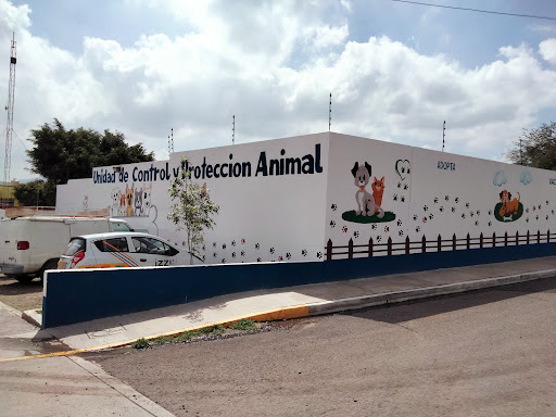 Unidad de Control y Protección Animal del Municipio de Corregidora