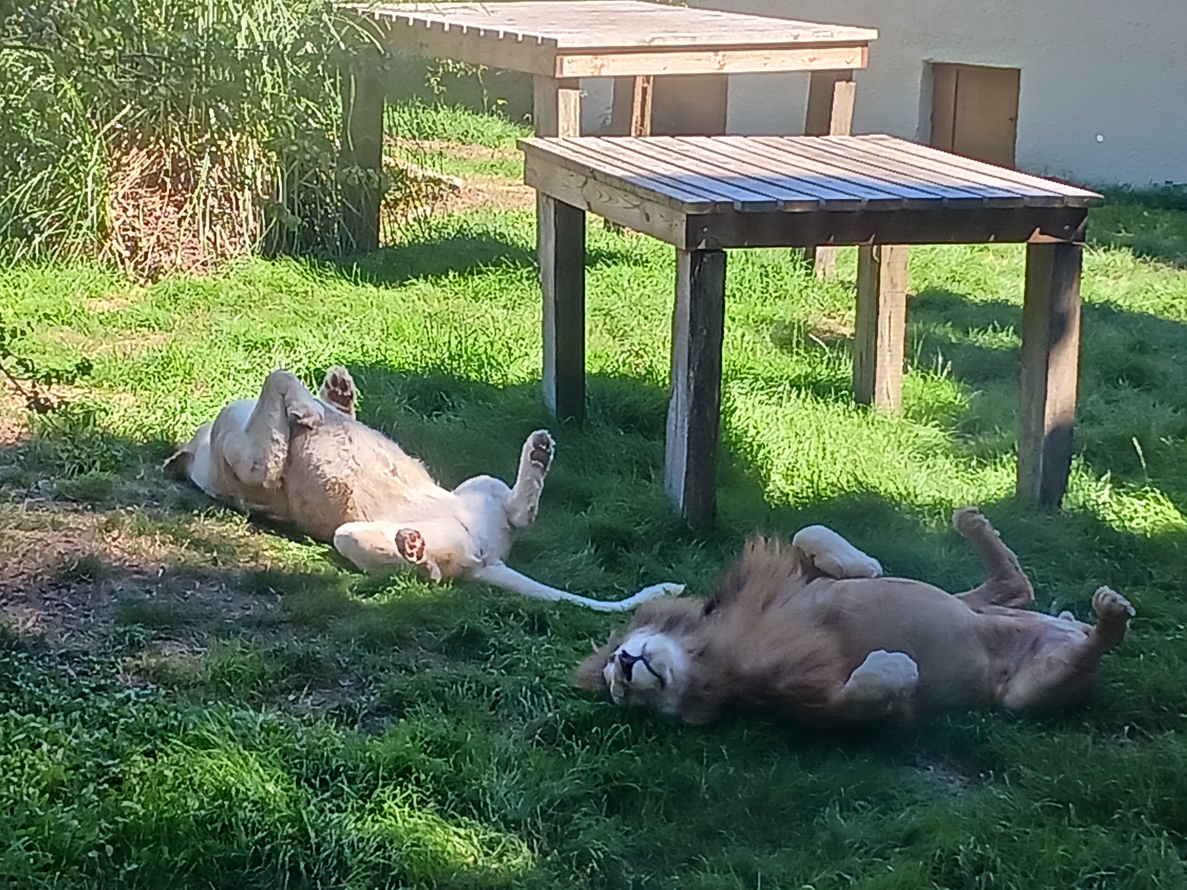 Photo n° 14 de l'avis de Isabelle.A fait le 12/08/2023 à 15:52