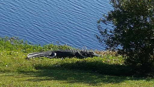 Golf Shop «De Bordieu Colony Golf Course», reviews and photos, 908 Bonny Neck Dr, Georgetown, SC 29440, USA
