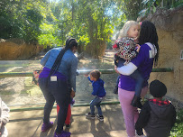 Growing Tree Day Center - Photo 9 - Car repair in , Jacksonville