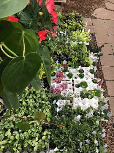 Plant Nursery «Sturtz & Copeland Florist & Greenhouses», reviews and photos, 2851 Valmont Rd, Boulder, CO 80301, USA