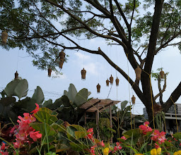 Urban Farming Center photo