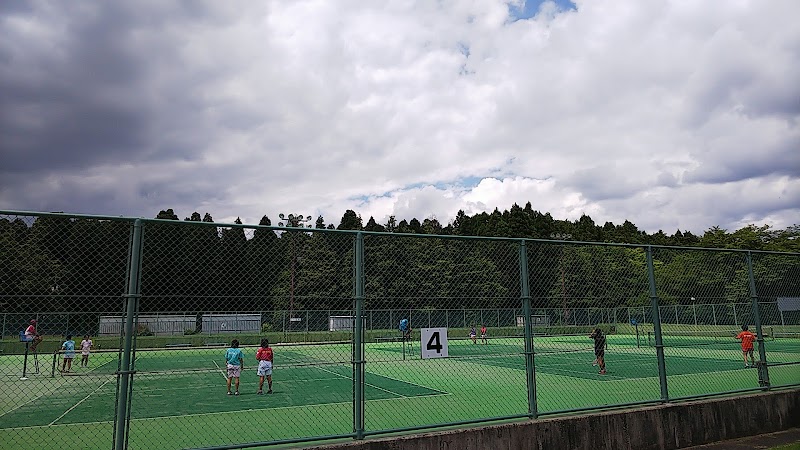 なかLuckyFM公園(那珂総合公園)テニスコート