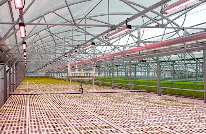 Horti-Generation - Tropical greenhouses Expert