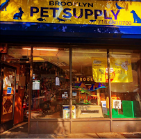 Brooklyn Pet Supply - Photo 4 - Car repair in Brooklyn, NY, New York