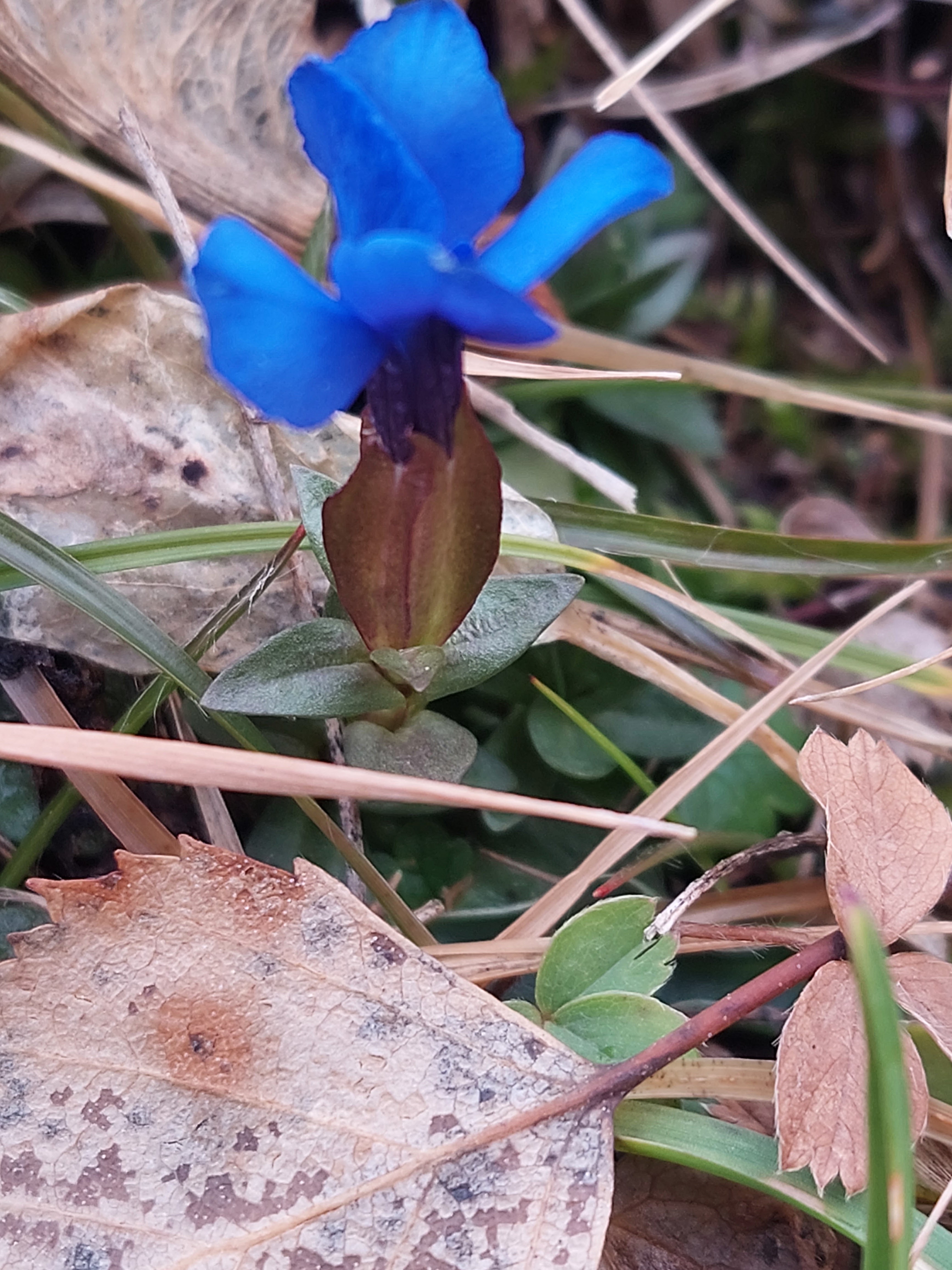 Photo n° 7 de l'avis de Valérie.E fait le 08/01/2023 à 14:34