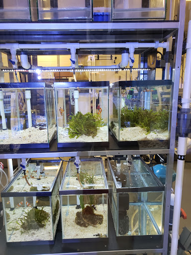 Aquarium «Georgia Aquarium», reviews and photos, 225 Baker St NW, Atlanta, GA 30313, USA