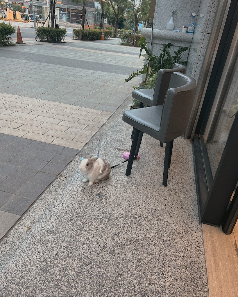 Chillax Drink 鮮奶茶•醇好茶 - 蕎淶清飲「醇茶、拿鐵、花茶、手工奶酪、甜甜圈」 的照片