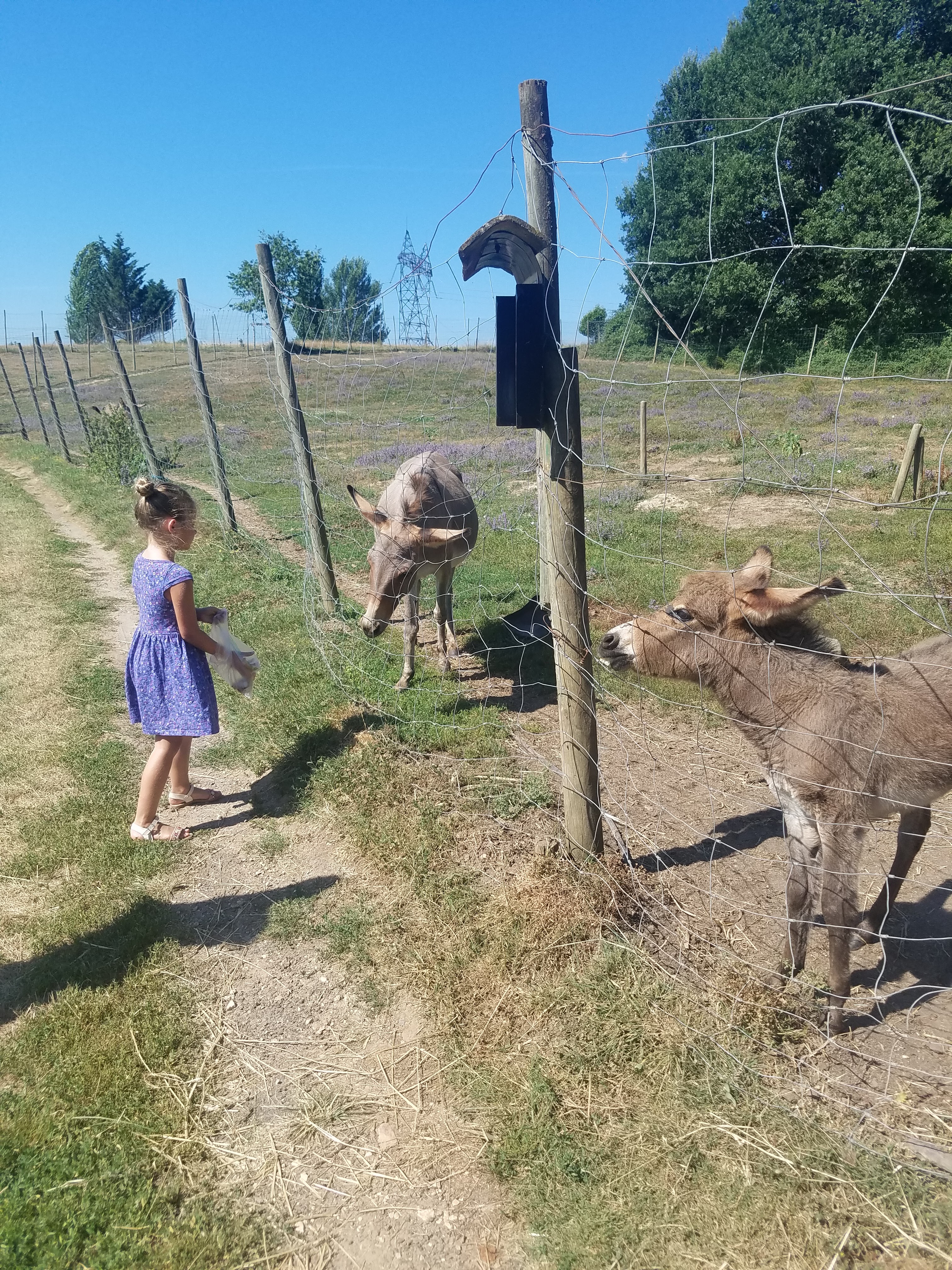 Photo n° 12 de l'avis de Jenny.o fait le 03/08/2018 à 15:13
